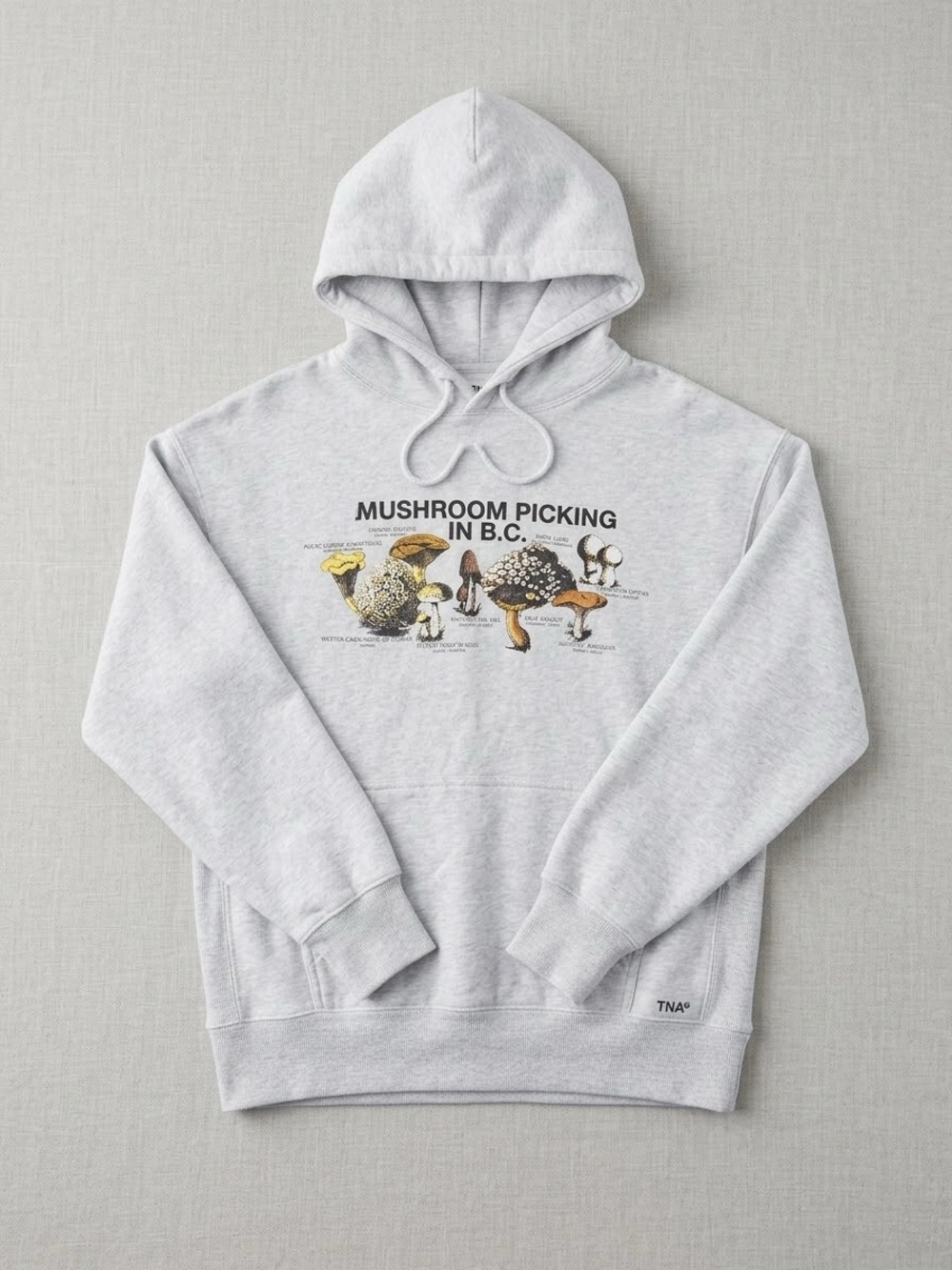 Aritzia TNA Cozy Sweatfleece Boyfriend Hoodie Mushroom Picking In B.C
